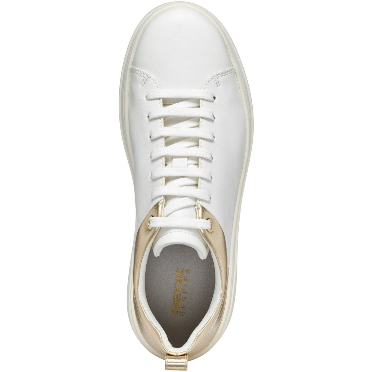 Geox D SPHERICA ECUB-2 Women's White/Light Gold Trainers