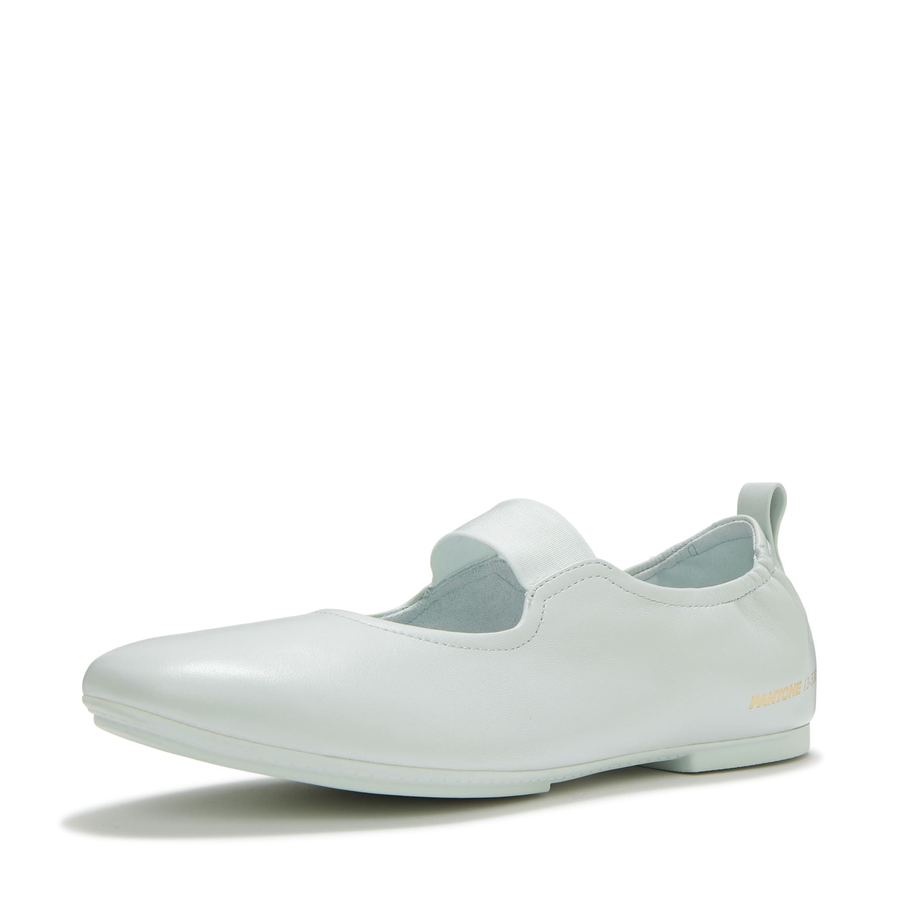 FitFlop X Pantone Delicato Mary Jane Leather Women's Aqua Shoes
