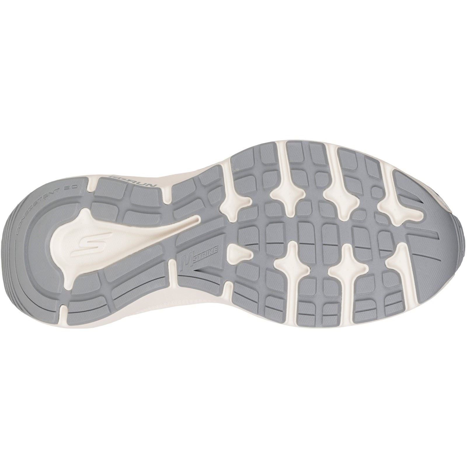 Skechers GO RUN Consistent 2.0 Volt Leather Women's Silver/Navy Trainers