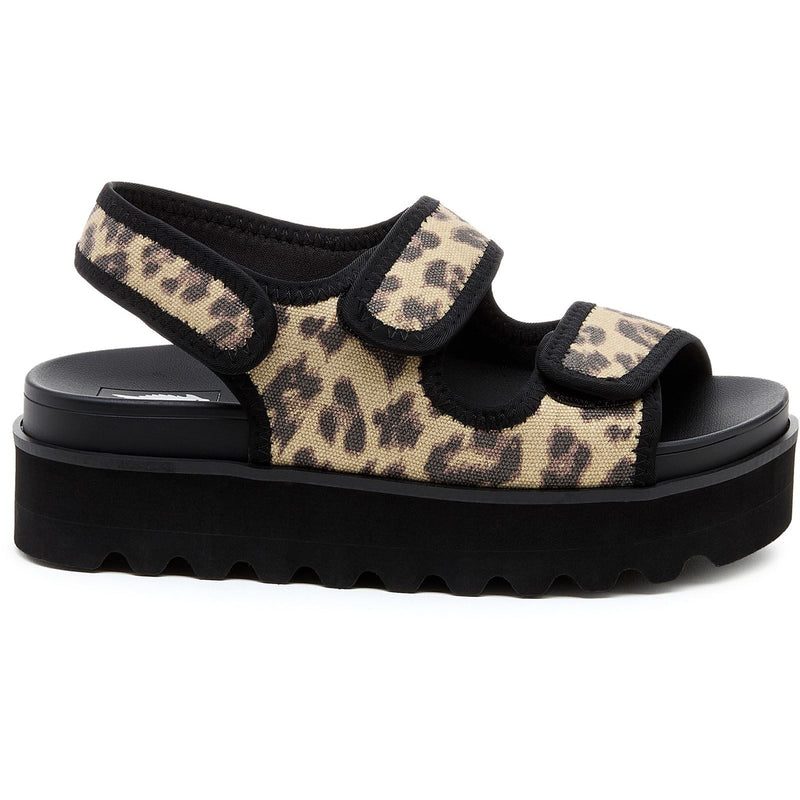 Rocket Dog Balmy Dexter Textile Women's Tan/Black Sandals