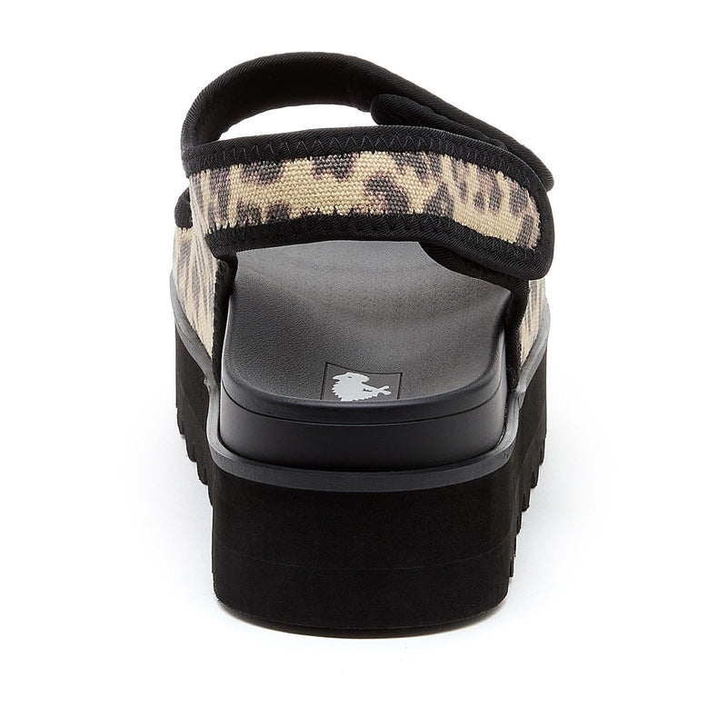 Rocket Dog Balmy Dexter Textile Women's Tan/Black Sandals