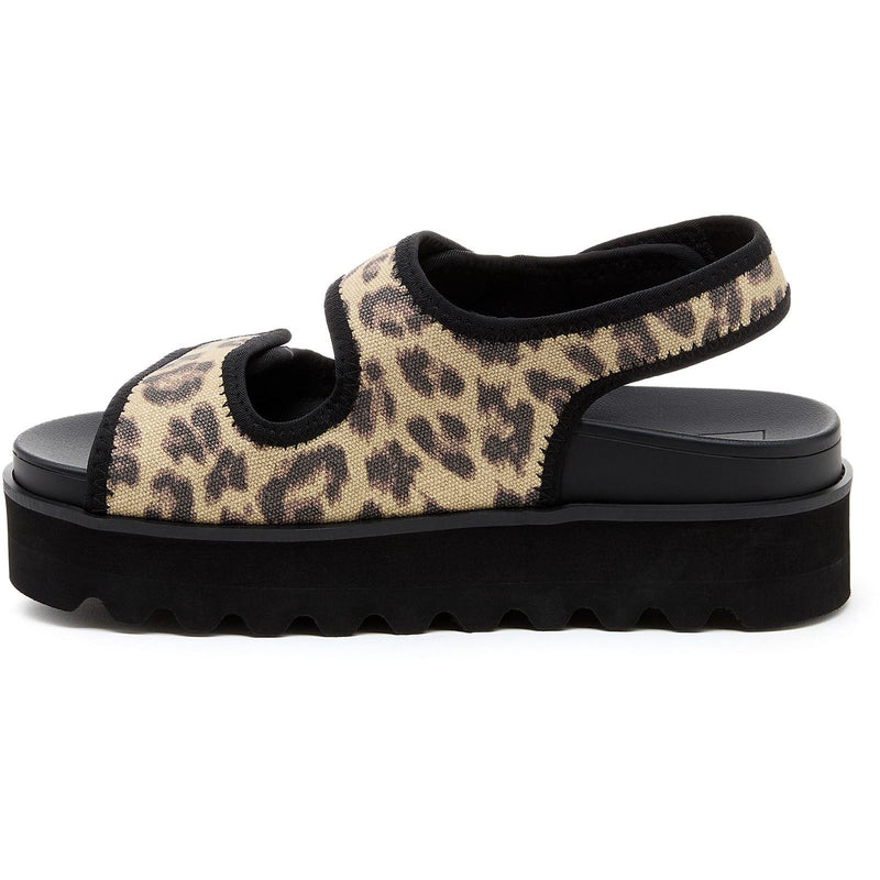 Rocket Dog Balmy Dexter Textile Women's Tan/Black Sandals