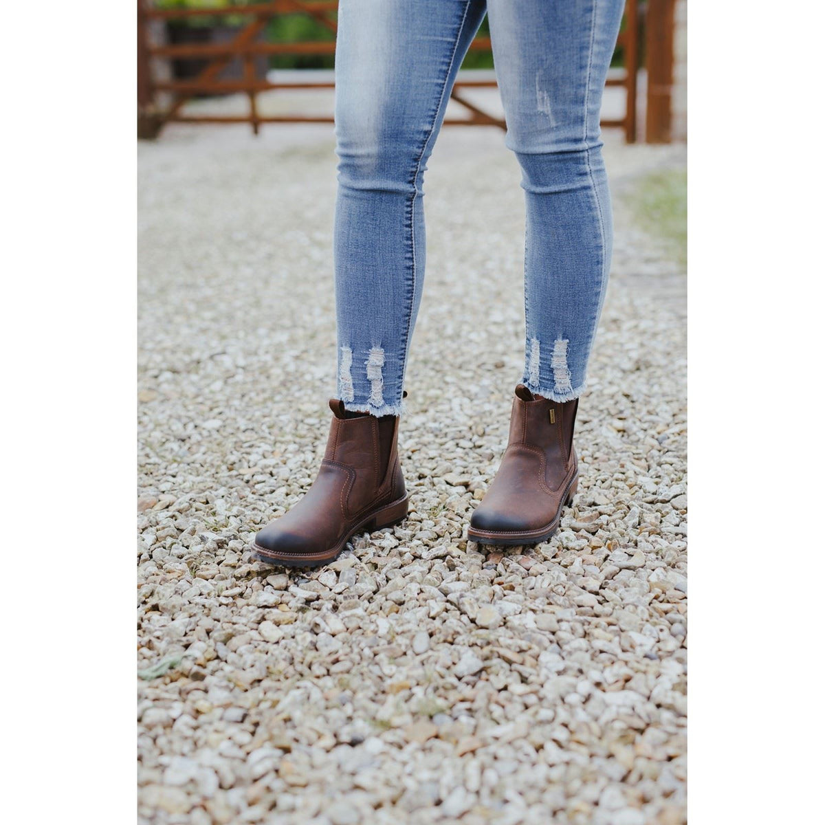Cotswold Laverton Leather Women's Brown Boots