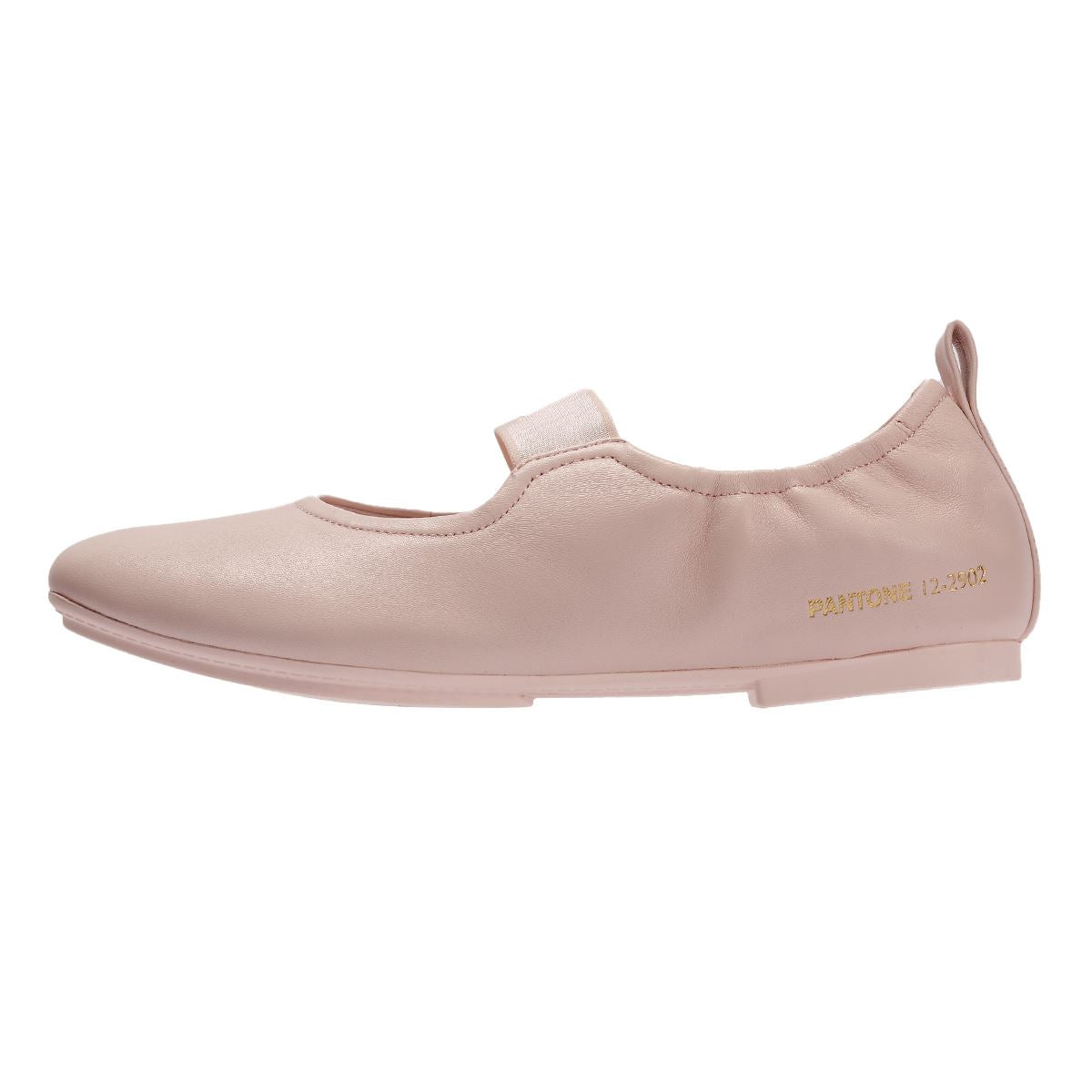 FitFlop DELICATO X PANTONE Poise Leather Mary-Janes