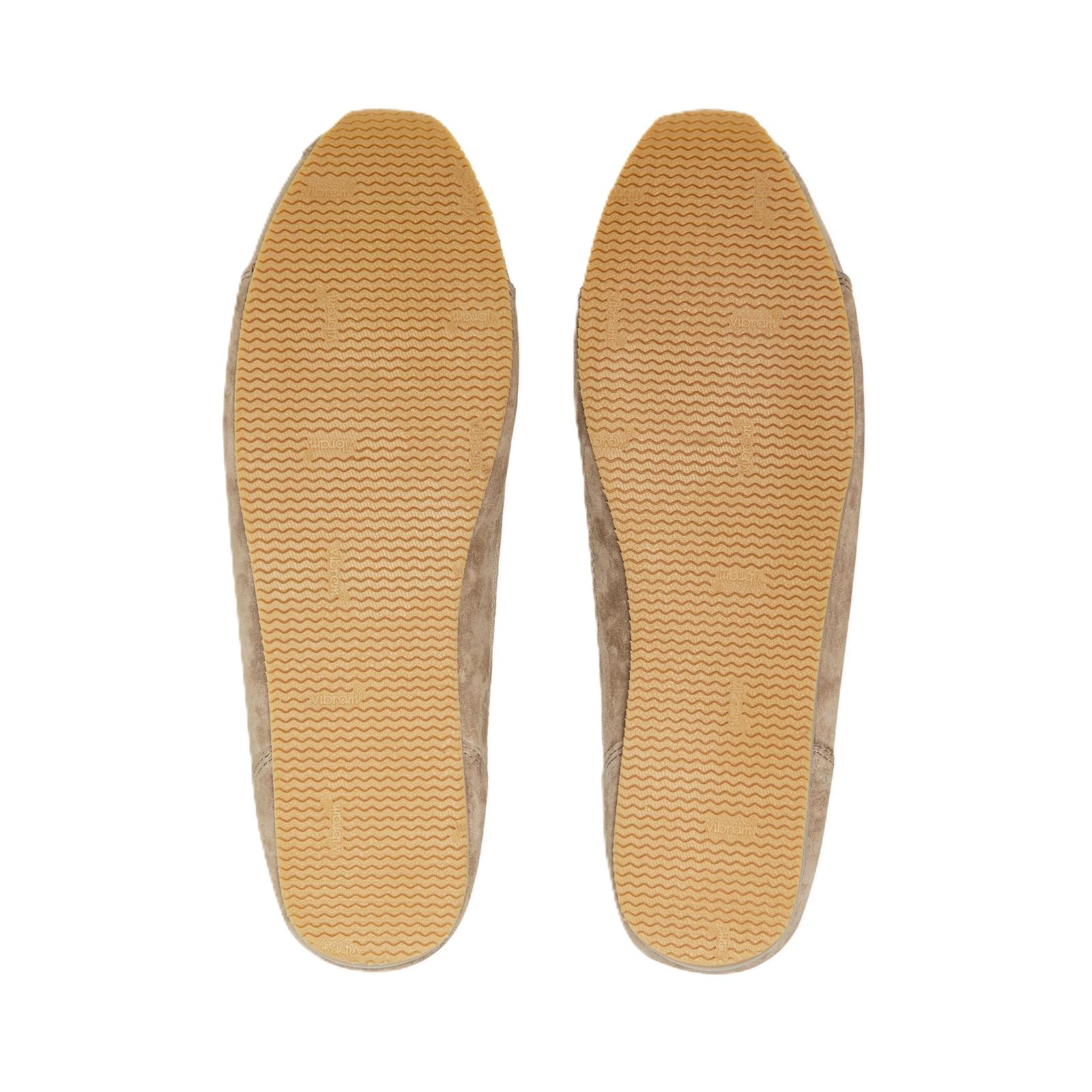 Walsh Cob Camel Trainers